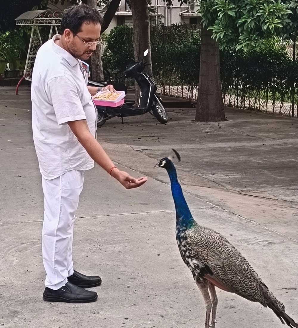 Social Impact